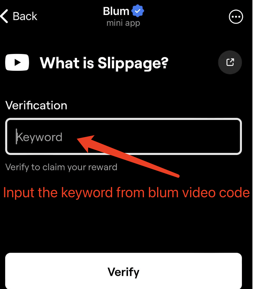 Blum Video Code Verification